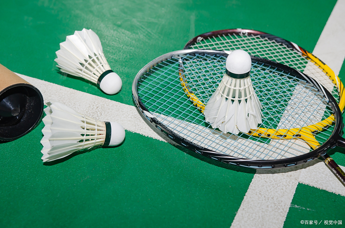 能够提出在 能够提出在