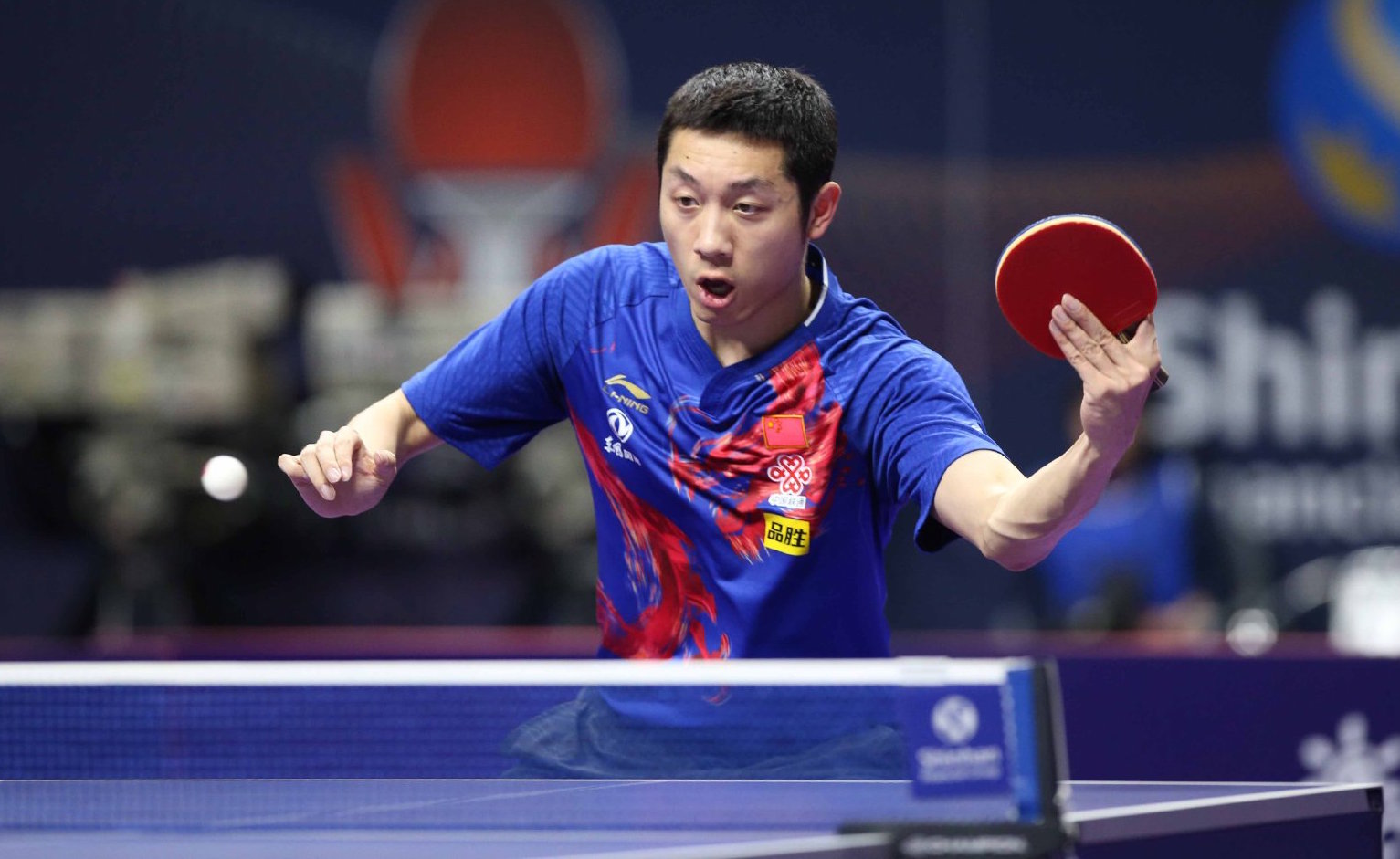 而她的回归 而她的回归