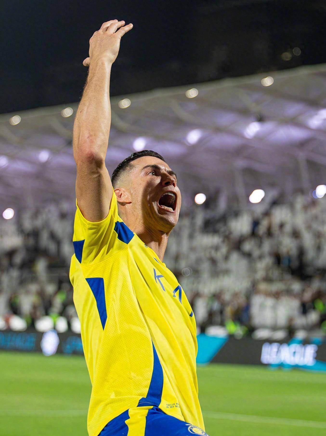 与打野野辅 与打野野辅